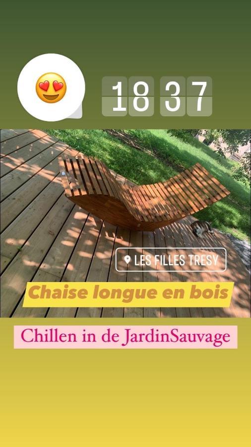 Gite Chambre De La Tante Camille - Les Filles Tresy Passenans エクステリア 写真
