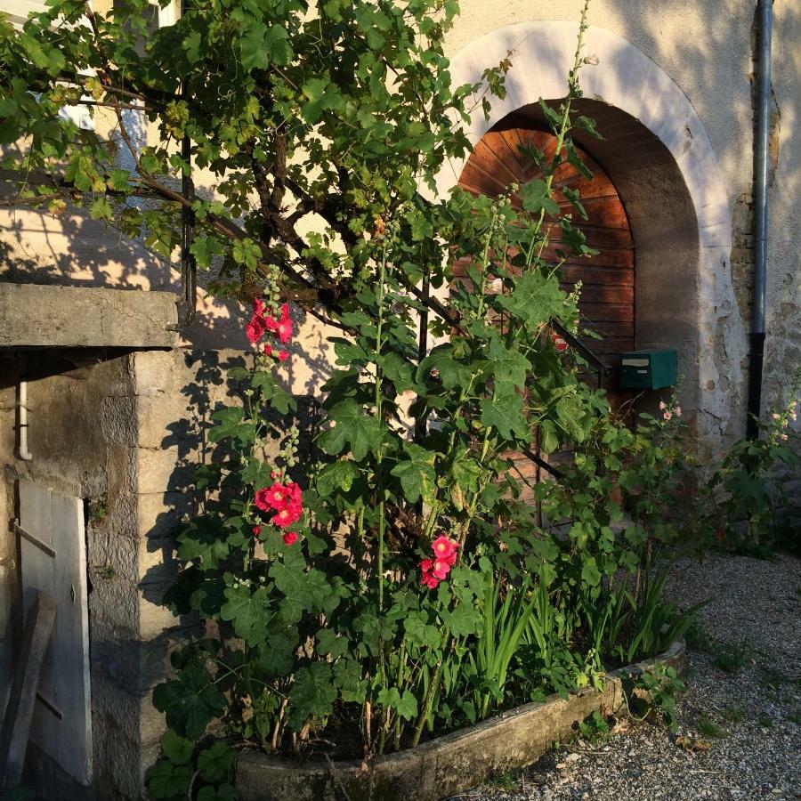 Gite Chambre De La Tante Camille - Les Filles Tresy Passenans エクステリア 写真