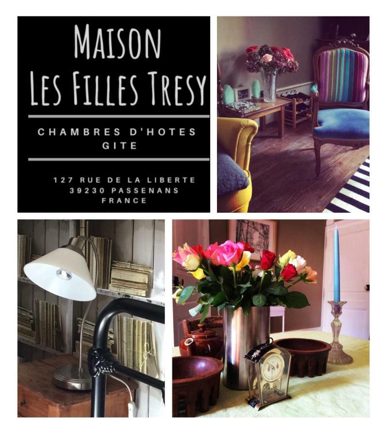 Gite Chambre De La Tante Camille - Les Filles Tresy Passenans エクステリア 写真